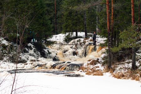 Saint Petersburg. RUSSIA . January 2, 2020. a group of tourists walk on a pedestrian bridge in nature in the winter . Hiking in coniferous forests. Group nature walkの写真素材