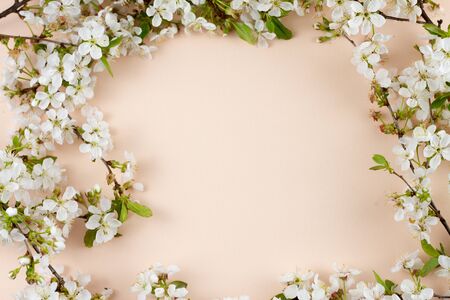 flowering branches on a pastel background with a place for an inscription. Creative spring concept with copy space. Spring flowers on a pastel beige background, closeupの写真素材