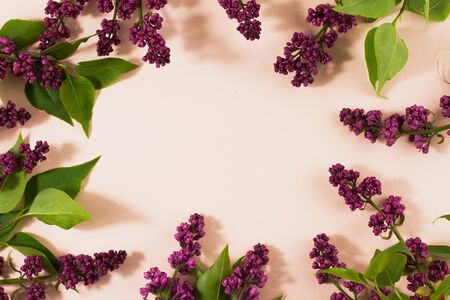 flowering branches of lilac on a pastel background with copy space. A bunch of serenity on a beige background with a place for an inscription. Spring conceptの写真素材