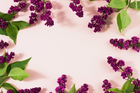 flowering branches of lilac on a pastel background with copy space. A bunch of serenity on a beige background with a place for an inscription. Spring conceptの写真素材