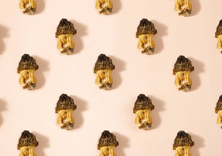 mushroom pattern. Seamless background of wild morel mushroom. Vegetarian concept. Food backgroundの写真素材