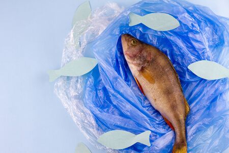 World Oceans Day. Dead fish in a plastic bag, concept to protect the oceans. The death of marine animals, copy spaceの写真素材