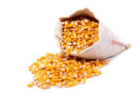small bag of corn closeup isolated on a white background. Harvest conceptの写真素材