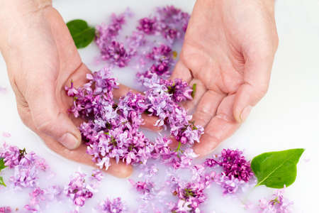 Young hands hold lilac petals in a milk bath, closeup. Elegance, fashionable layout. Card layoutの写真素材