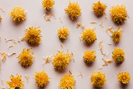 yellow dandelion flowers on a pastel pink background, in a scattering. Natural layout for postcardsの写真素材