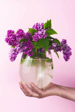 girl holds a bouquet of lilacs in a vase on a pastel pink background. Fashionable presentation of a bouquet of flowers, layout for designersの写真素材