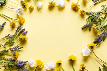 wildflowers on a yellow background. White and yellow flowers on a pastel background with a bridge under the inscription in the center. Postcard conceptの写真素材