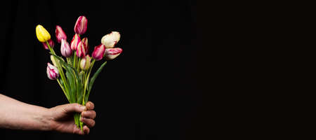 hand holds a large bouquet of delicate multi-colored tulips on a black background, close-up. layout for postcards. banner photoの写真素材