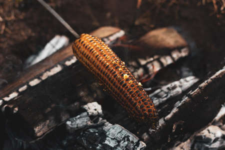 yellow corn is grilled on open coals in the open air, close-up. Cooking food in the wild, on a hikeの写真素材