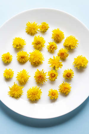 yellow dandelion flowers lie in a white flat plate on a pastel blue background. The concept of minimalism and layout. Creative approach to flowersの写真素材