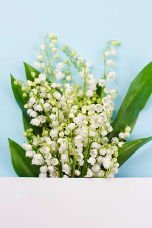 bouquet of fragrant fresh lilies of the valley on a pastel blue background with a white strip, layout for cardsの写真素材