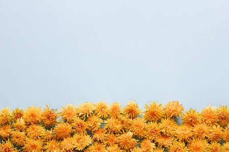 a bunch of yellow dandelion flowers are located at the bottom of the frame on a pastel blue background, place for textの写真素材