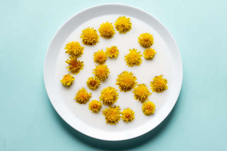 yellow dandelion flowers float in white milk on a flat plate on a pastel blue background, minimalism concept, fashionable layout for trifly flowersの写真素材