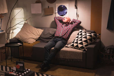Portrait of a happy bald man in a plaid shirt and jeans relaxing on the sofa. Good lighting, interesting interior. Life concept.の写真素材