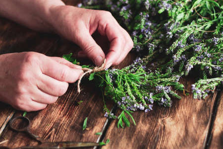 woman harvests herbs in the winter for tea, drying useful plants. Drug Alternative Conceptの写真素材