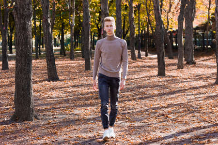 A young blond guy, dressed in a beige sweater and black jeans, walks through an autumn city park. Life concept.の写真素材
