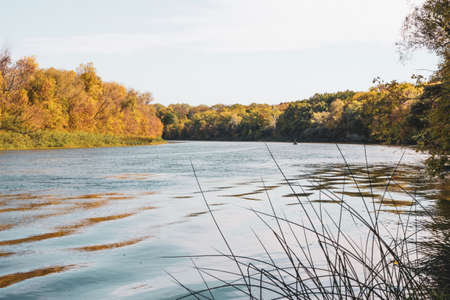A wide river with gentle curves against the backdrop of a green coastline. Nature concept.の写真素材
