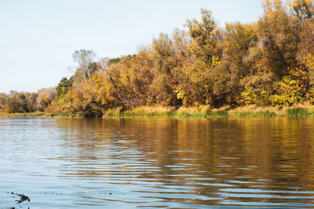 A wide river against the background of the autumn bank with many trees. Nature concept.の写真素材