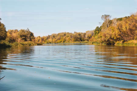 A wide river against the background of the autumn bank with many trees. Nature concept.の写真素材