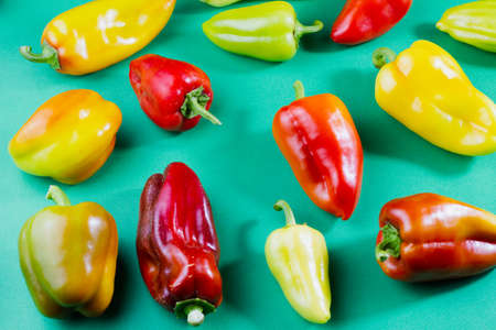 group of multi-colored ripe bell peppers lie on a pastel green background top view, food background, natural fresh products for vegetarian cuisineの写真素材