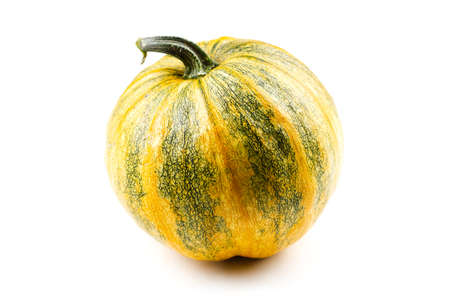 Yellow pumpkin with a green tint isolated on a white background. Autumn concept.の写真素材