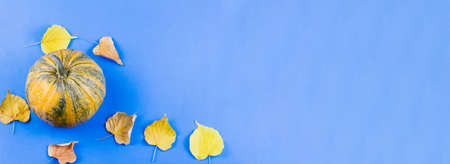 Pumpkin with autumn leaves on a blue background. View from above. Place for text. Photo banner. Harvesting concept.の写真素材