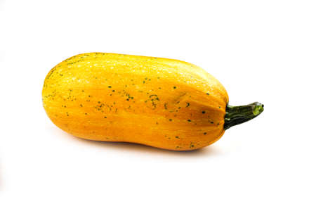 Yellow pumpkin isolated on white background. Harvest concept. Consumer product.の写真素材