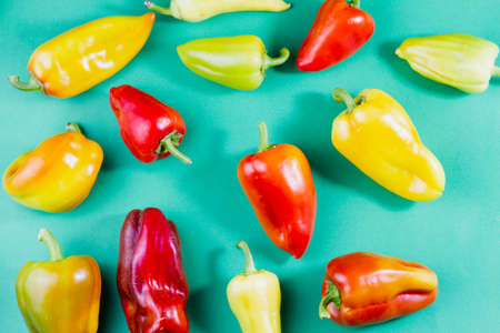 group of multi-colored ripe bell peppers lie on a pastel green background top view, food background, natural fresh products for vegetarian cuisineの写真素材
