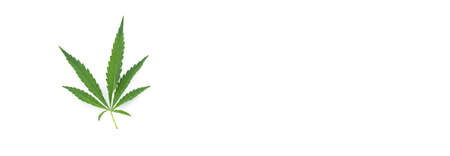 cannabis leaf on a white background. Green twig of hemp isolated on white backgroundの写真素材