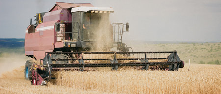 combine mower mechanism cuts spikelets wheat. Agricultural harvesting work. harvester moves field and mows ripe wheat. large harvester collects grain sunny weather. agricultural business. photo bannerの写真素材