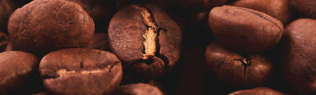 Coffee lover view of roasted coffee beans for background and texture. Dumped roasted coffee beans can be used as background and texture. Photo banner. roasted coffeeの写真素材