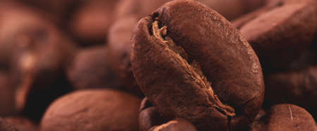 Coffee lover view of roasted coffee beans for background and texture. Dumped roasted coffee beans can be used as background and texture. Photo banner. roasted coffeeの写真素材