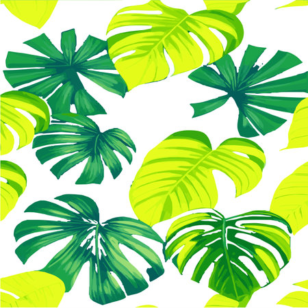 Green monstera pattern white background. exotic pattern with tropical leaves. Vector illustration. monstera leafのイラスト素材