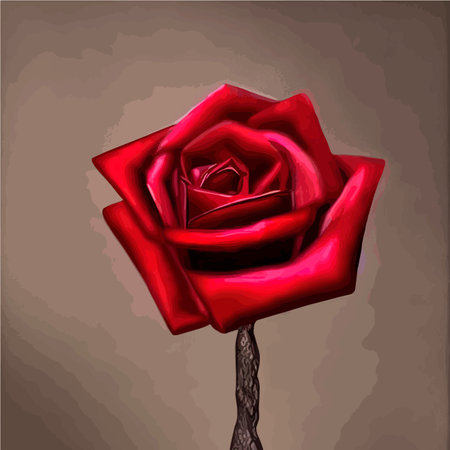 Red rose flower vector illustration, beautiful red valentine rose on a long stem, for background greeting cardsのイラスト素材