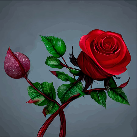 Red rose flower vector illustration, beautiful red valentine rose on a long stem, for background greeting cardsのイラスト素材