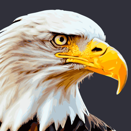 Portrait of a bald eagle. Vector illustration of an American bald eagle in flight .US Symbols Symbols Liberty profileのイラスト素材