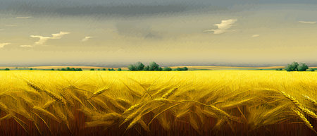 Print Large wheat thorns on a field on a beautiful nature and landscape in the sun. Extended rich harvest. Areasのイラスト素材