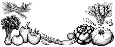 Vegetables top view frame. Farmers market menu design. Organic food poster. Vintage hand drawn sketch vectorのイラスト素材