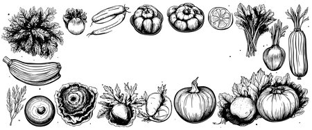 Vegetables top view frame. Farmers market menu design. Organic food poster. Vintage hand drawn sketch vectorのイラスト素材
