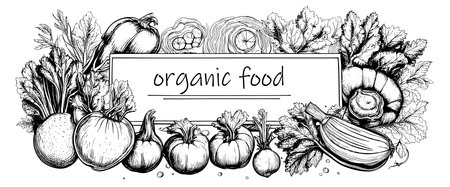 Vegetables top view frame. Farmers market menu design. Organic food poster. Vintage hand drawn sketch vectorのイラスト素材