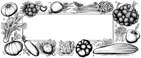 Vegetables top view frame. Farmers market menu design. Organic food poster. Vintage hand drawn sketch vectorのイラスト素材