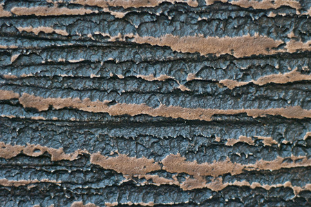 Plastered wall in small grain