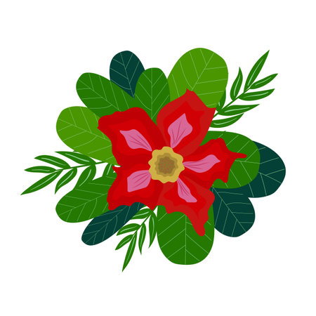 Exotic, tropical flower with tropical leaves on a white background.のイラスト素材