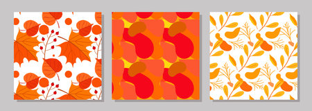 Three autumn seamless patterns. autumn vector.