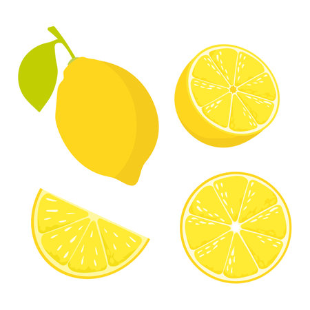 Juicy ripe lemon. Whole lemon and lemon wedges. Vector lemon design. Lemon in section.のイラスト素材