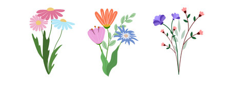 Bouquets of creative flowers. Compositions of flowers with leaves. Vector.のイラスト素材