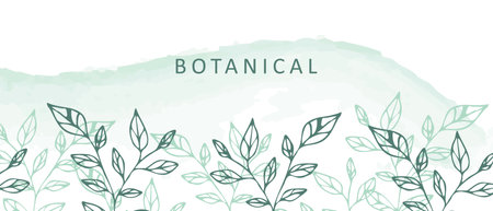 Botanical background with plants. Floral background. Vector.のイラスト素材