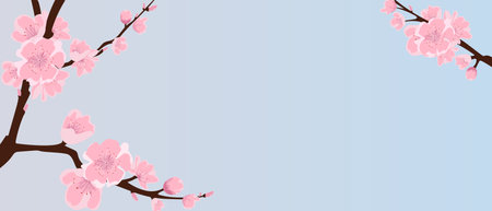 Background with sakura branches. Delicate sakura on a pink and blue background. Vector.のイラスト素材