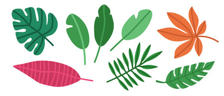 Set of tropical leaves in creative style. Vector.のイラスト素材