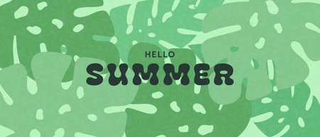 Colorful tropical palm leaves, summer background or banner Hello Summer. Summer promotion concept...